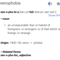 Fearing the foreigner: When child protection and institutionalised xenophobia collide